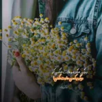 دانلود آهنگ سارن ترا