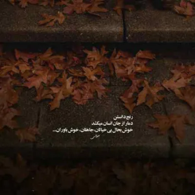 دانلود آهنگ سجادی تو رگی