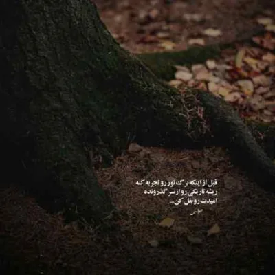 دانلود آهنگ شایان اشراقی خالیه