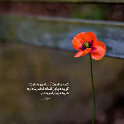 دانلود آهنگ تو اون شام مهتاب کنارم نشستی داریوش