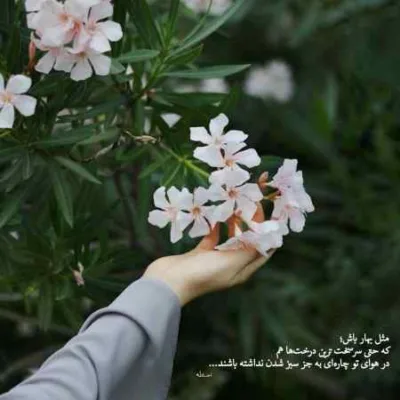 دانلود آهنگ زندگی بی تو دیگه عمرا شایان قاسمی