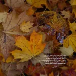 دانلود آهنگ دختر این شهر واسه من دلدار نمیشه آغاسی دانلود آهنگ دختر این شهر واسه من دلدار نمیشه آغاسی