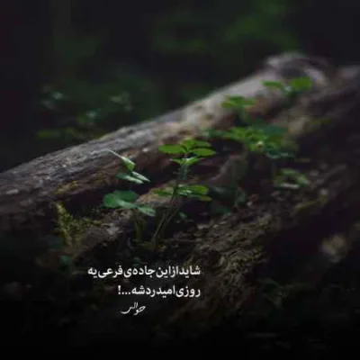دانلود آهنگ ساقی بده پیاله من خوش قلندرم احمد آزاد