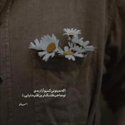 دانلود آهنگ  اشکام بیان هزار هزار زخمام بمونه یادگار علیرضا طلیسچی