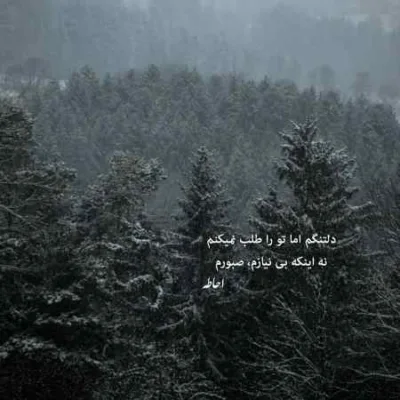 دانلود آهنگ دلم هنوز که هنوزه اراد هی منتظره امین فالجی