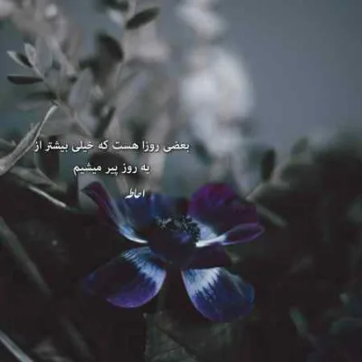 دانلود آهنگ بهار بازم بیا عشقو بیارش مارتیک