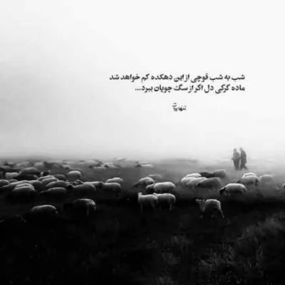 دانلود آهنگ برسون خودتو به من اگه میشه د دان دانلود آهنگ برسون خودتو به من اگه میشه د دان