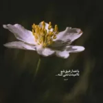 دانلود آهنگ ﺑﺨﻮر ﺗﻮ ﺳﺮم ای ﺷﻬﺮ ﺧﺮاب ﺷﺪه سبحان رستمی دانلود آهنگ ﺑﺨﻮر ﺗﻮ ﺳﺮم ای ﺷﻬﺮ ﺧﺮاب ﺷﺪه سبحان رستمی