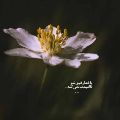 دانلود آهنگ ﺑﺨﻮر ﺗﻮ ﺳﺮم ای ﺷﻬﺮ ﺧﺮاب ﺷﺪه سبحان رستمی دانلود آهنگ ﺑﺨﻮر ﺗﻮ ﺳﺮم ای ﺷﻬﺮ ﺧﺮاب ﺷﺪه سبحان رستمی