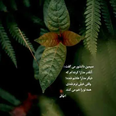 دانلود آهنگ میمونم تو رویاهام میمیرم تو رویاهام بمرانی