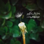 دانلود آهنگ دست کی شبا لای موهاته سامی بیگی دانلود آهنگ دست کی شبا لای موهاته سامی بیگی
