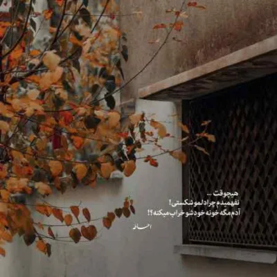 دانلود آهنگ  دیدی ای آرام جانم تا کنون وصلت ندیدم ویگن