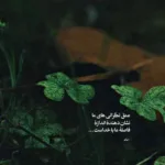 دانلود آهنگ دوباره با اداهات دلمو زدی و بردی با صدای زن