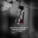 دانلود آهنگ دختر پسر فرقی نداره باید چشم سیر باشه الجان دانلود آهنگ دختر پسر فرقی نداره باید چشم سیر باشه الجان