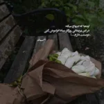 دانلود آهنگ عشق منی آها دل میبری آها بلک کتس