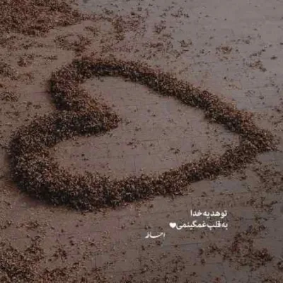 دانلود آهنگ عشق تو نابه گل من کاش دور هم جمع بشیم آخه زانکو