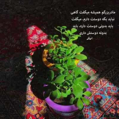 دانلود آهنگ فصل پاییزی من که میرسه نفسم به عشق تو پر میزنه قمیشی + دانلود