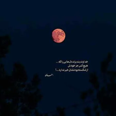 دانلود آهنگ  اگر چه عمری ای سیه مو چون موی تو آشفته ام غزل شاکری