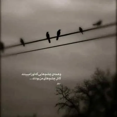 دانلود آهنگ زیادی عاشق بودم اشتباهم همین بود حمید هیراد