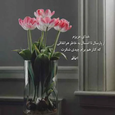 دانلود آهنگ  کهنه شراب کهنه شراب امشب بال و پرم بده امید