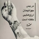 دانلود آهنگ گل زردم همه دردم محسن نامجو