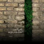دانلود آهنگ تویی تویی دنیای من ارامش شب های من سالار عقیلی دانلود آهنگ تویی تویی دنیای من ارامش شب های من سالار عقیلی