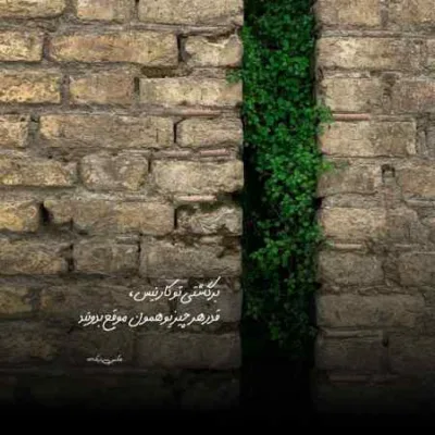 دانلود آهنگ تویی تویی دنیای من ارامش شب های من سالار عقیلی دانلود آهنگ تویی تویی دنیای من ارامش شب های من سالار عقیلی