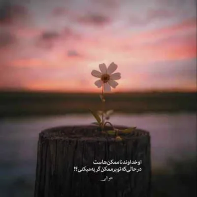دانلود آهنگ شراب نابو داره سرخی لبهای تو سعید کریمی دانلود آهنگ شراب نابو داره سرخی لبهای تو سعید کریمی