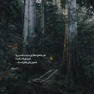 دانلود آهنگ تیپو ببین گوشو نبین من کیم