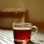 دانلود آهنگ تو این تنهایی داره میده مغزم رد امیر خوشنگار