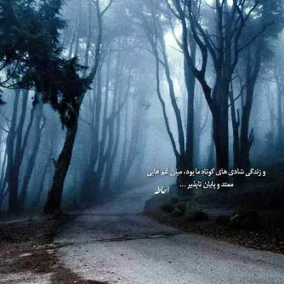 دانلود آهنگ یه روزی با تو ستاره رو چیدم مرتضی پاشایی