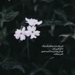 دانلود آهنگ آخ چقد قشنگه واسه تو آدم بجنگه هوش مصنوعی