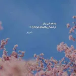 دانلود آهنگ نه اینجوری نمیشه باهام قهری همیشه علی منتظری دانلود آهنگ نه اینجوری نمیشه باهام قهری همیشه علی منتظری