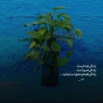 دانلود آهنگ بعد از تو دیگر نفسی نیست سالار و علی محمدی دانلود آهنگ بعد از تو دیگر نفسی نیست سالار و علی محمدی