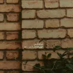 دانلود آهنگ درد کشیدم تو رو دیدم که با غریبه هایی بیدل برزویی
