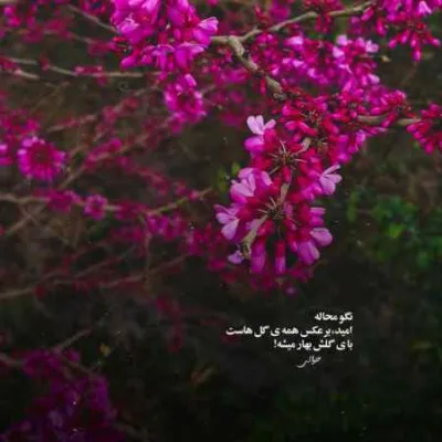دانلود آهنگ دلش خونه غریبه ها شده من میدونم که دیگه جا برام نی شایان یو دانلود آهنگ دلش خونه غریبه ها شده من میدونم که دیگه جا برام نی شایان یو