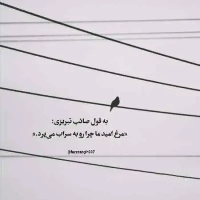 دانلود آهنگ دلم به تو عادت کرده مونه بدبخت کرده فرزین کاتب