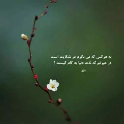 دانلود آهنگ کردی همه باورامو عوض واسه همه تیز بودم مهیار