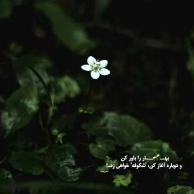 دانلود آهنگ من خیلی وقته از هیشکی هیچ توقعی ندارم اینستا