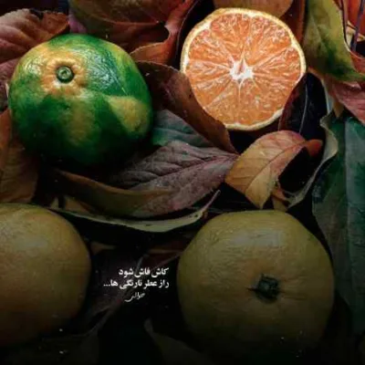 دانلود آهنگ من یه مجنونمو مجنونیم عالمی داره