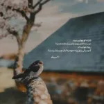 دانلود ریمیکس من زدم بیرون از خونه از هرچی بود اینستا