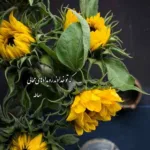دانلود آهنگ تب کرده قلبم بد قلق مرصاد الف دانلود آهنگ تب کرده قلبم بد قلق مرصاد الف