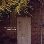 دانلود آهنگ مثل پیچ چالوسه وقتی موهات تو باده بازه میثم ابراهیمی دانلود آهنگ مثل پیچ چالوسه وقتی موهات تو باده بازه میثم ابراهیمی