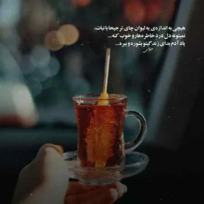 دانلود آهنگ  Reason Enough از Stormin' Norman
