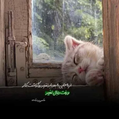 دانلود آهنگ  "دل باخته" ابراهیم تاتلیسس و مهراد جم و مجید رضوی و شادمهر