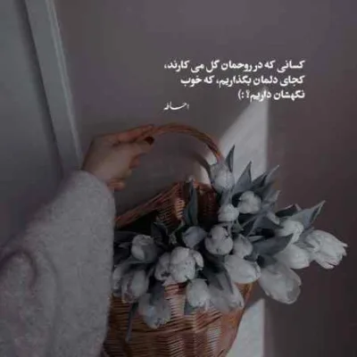دانلود آهنگ تو مث من دیوونه ای دیوونه ای یه دونه ای سامان جلیلی