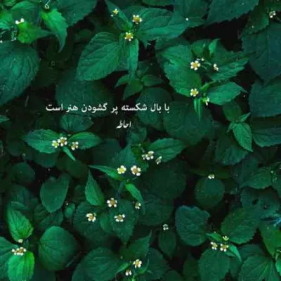 دانلود آهنگ تف تف رو شعرام قفل از حصین و پوری