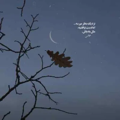 دانلود آهنگ  ز جفای چرخ افسونگر بگرفتش شاهینی در بر داوود مقامی