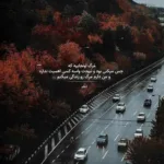 دانلود آهنگ علی نواب شايد برای عاشقی زود بود