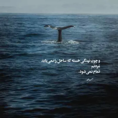 دانلود آهنگ یانگ صادن الو دانلود آهنگ یانگ صادن الو